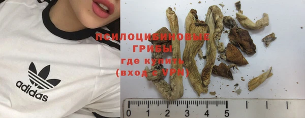 spice Абинск