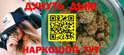 амф Дубна