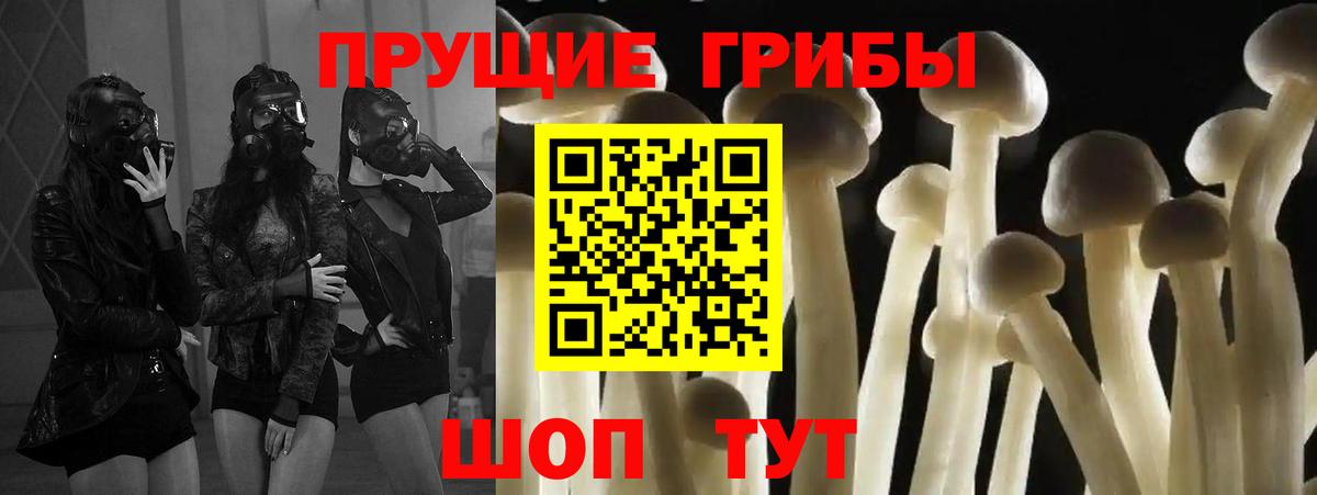 Псилоцибиновые грибы Psilocybine cubensis Таганрог