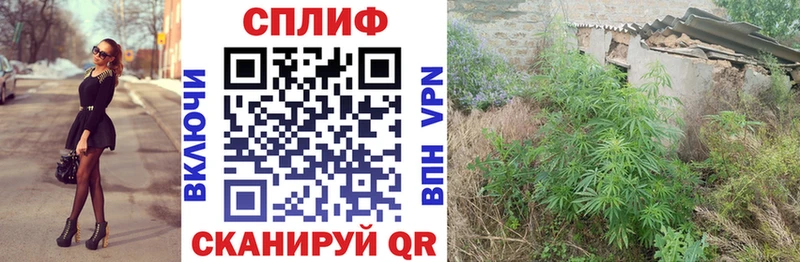 Конопля сатива наркошоп Таганрог